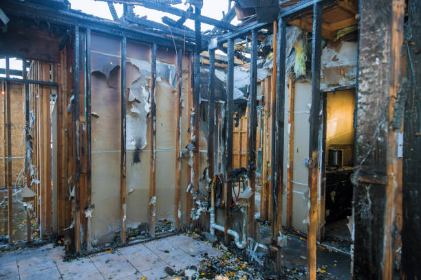 Professional Fire Damage Assessment technician working in Sugar City, ID